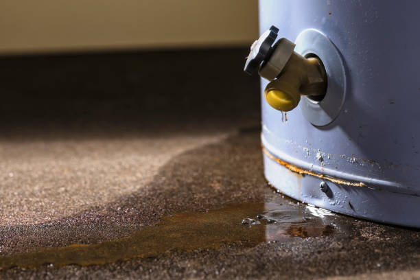 Best Water damage restoration process  in Rose, LA