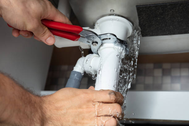 Best Water damage contractors near me  in Rose, LA