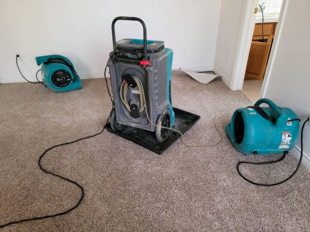 Best Flood damage cleanup  in Rose, LA