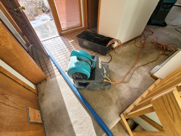 Best Flooded house restoration  in Rose, LA