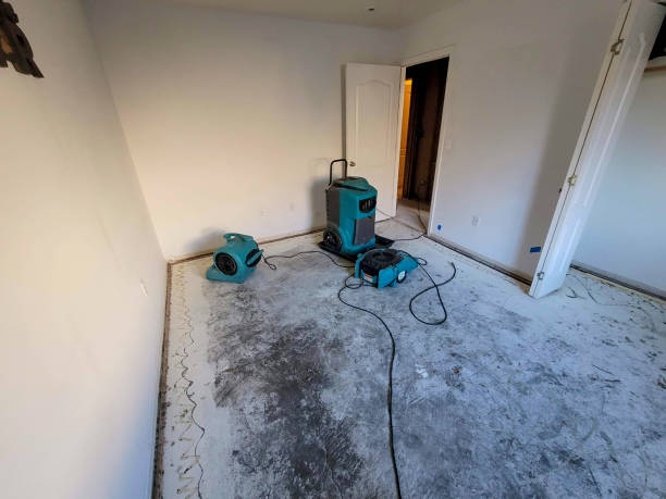 Best Commercial water damage restoration  in Rose, LA