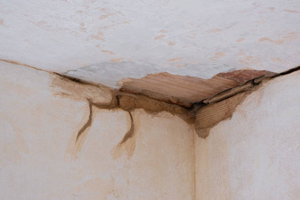 Best Ceiling water damage repair  in Rose, LA