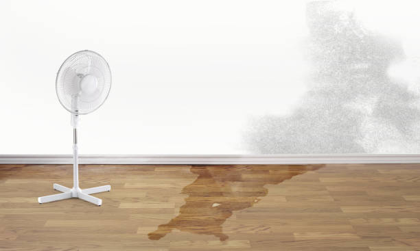 Water damage restoration process in LA