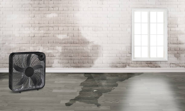 24/7 water damage repair in LA