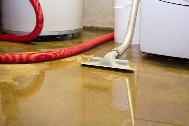 Best Basement water damage restoration  in Rose, LA