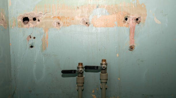 Best Water damage restoration insurance claims  in Rose, LA