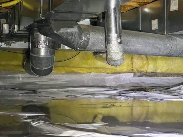 Best Water damage restoration near me  in Rose, LA