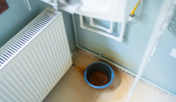 Best Carpet water damage restoration  in Rose, LA