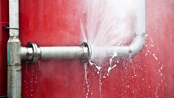 Best Flood restoration services  in Rose, LA